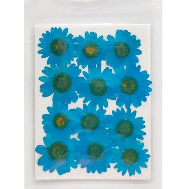 Dry Pressed Flowers - DF45-1