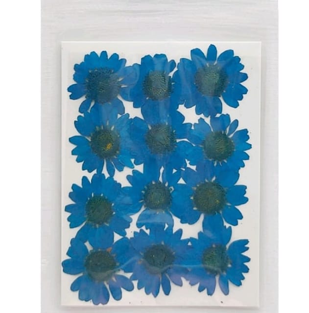 Dry Pressed Flowers - DF45-5